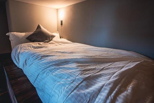 Rimba Tokyo Oshiage, Skytree view, 3BR 80m2, Tokio (fotografie 6)