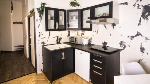 Black & White Apartment Prague by Wenceslas Square and Muzeum, Praha (fotografie 9)