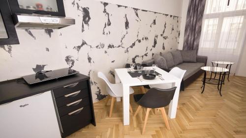Black & White Apartment Prague by Wenceslas Square and Muzeum, Praha (fotografie 5)