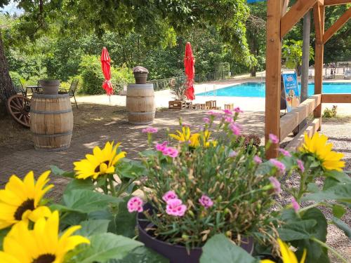 Aussicht, Die Heilsbach gGmbH in Schönau (Pfalz)