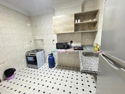 Elite Apartments in Mohandseen - Families only - image 2