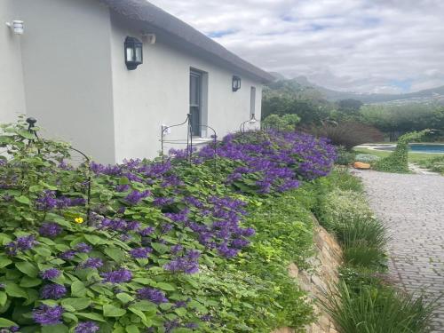 Beau's Cape Retreat - image 8