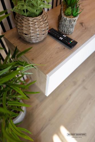Belfast Quarters 3rd Floor Gem in แซนดี โรว์ แอเรีย