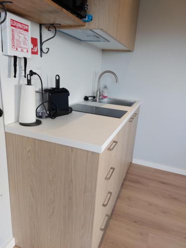 Facilities, Palina Cottage studio in Hveragerdi