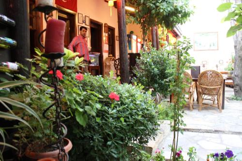 Boomerang Guest House - image 7