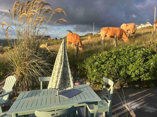 Hillside Hideaway in Еністімон