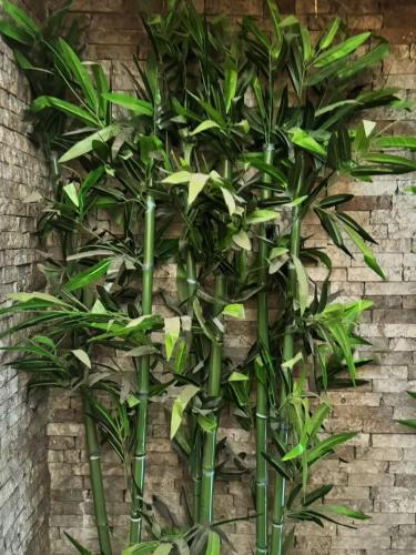 Hotel Valganna - image 8