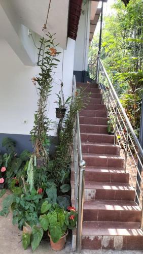 VELLAKUZHY Homestay Wayanad in Mananthavady
