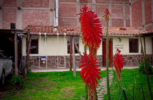 "Casita de Geranios "