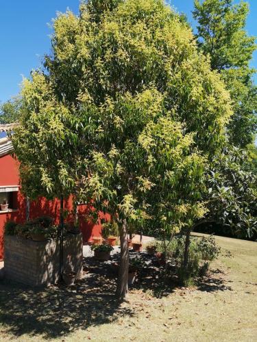 Villa Giulia, a splendid farmhouse in the Marche region