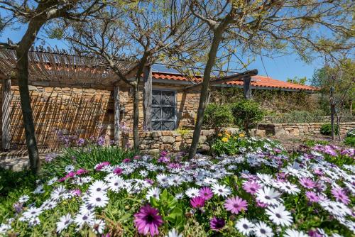 A szálláshely kívülről, ATARAXIA at Saravari Beach in Áyios Aléxandros