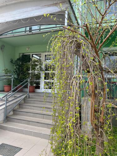 外部景觀, ARK Apartaman Sárvár (ARK Apartaman Sarvar) in 蒂桑拉洛姆瓦洛斯