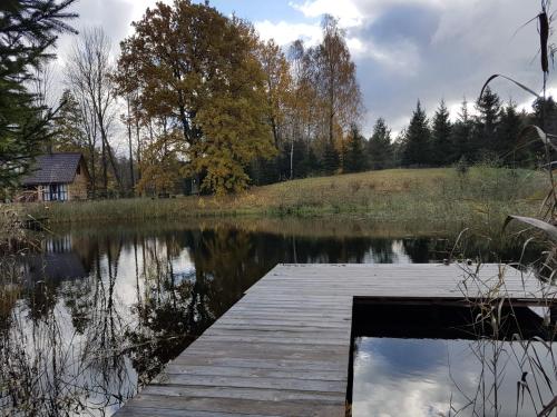 Skats, Domwlesie - Gospodarstwo Agroturystyczne in Nowinka