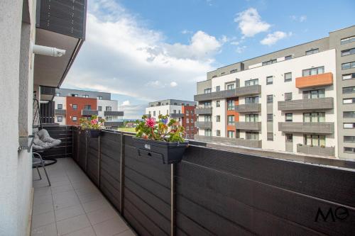 MoHost Lube - Premium Comfort with Mountain View MoHost Lube - Premium Comfort with Mountain View