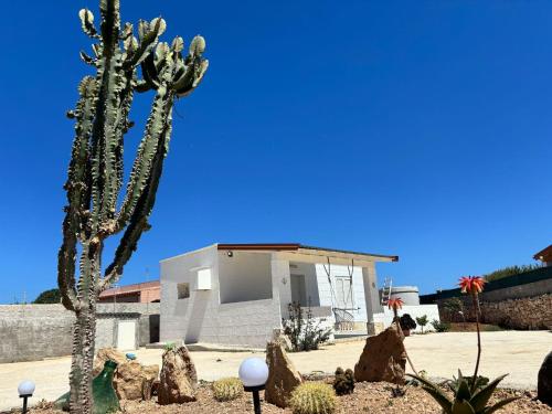 Villa Zaffiro 1