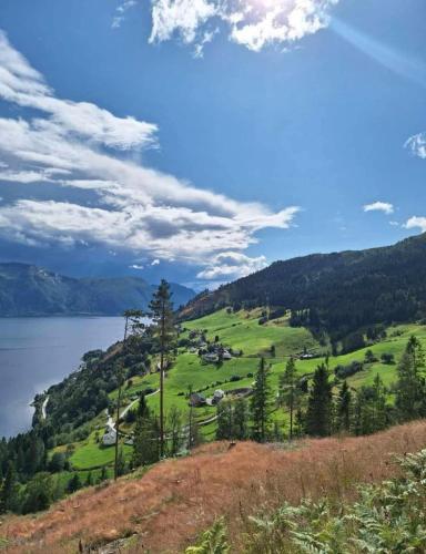 Støl ved Sognefjorden in Хьойангер