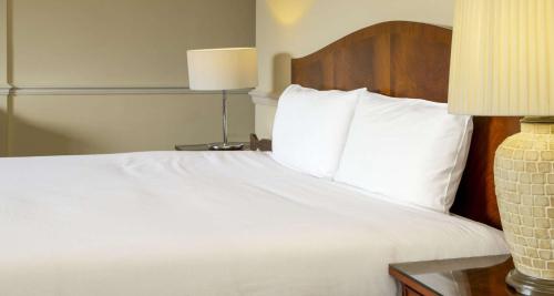 Bournemouth Carlton Hotel BW Signature Collection - image 13