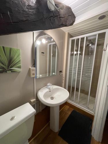 Gîte la Petite Semois à Mouzaive - image 12