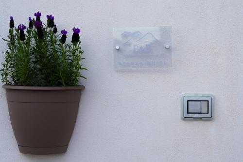Vesuvio Home Capodichino Blu, Naples (photo 5)