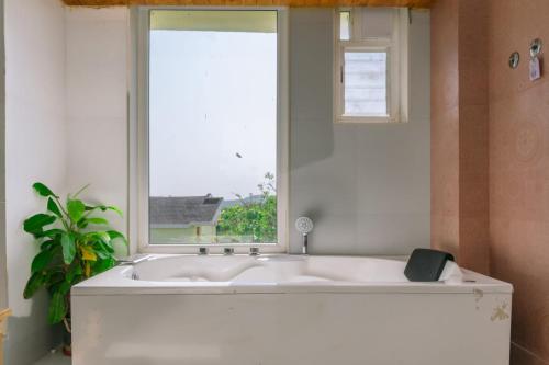 Eshi Resorts and Restaurant - Bhimashankars Jungle Luxury Resort in Tale Ghar