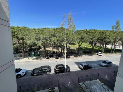APPART 3 PIECES 6 couchages SAINT CYPRIEN PLAGE - FR-1-106-38 (Appartement T3 spacieux, 6 couchages a Saint-Cyprien Plage, proche port et commerces, parking securi) in Saint-Cyprien