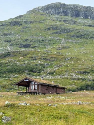 Wild Norwegian nature, between Preikestolen & Trolltunga in Roldal