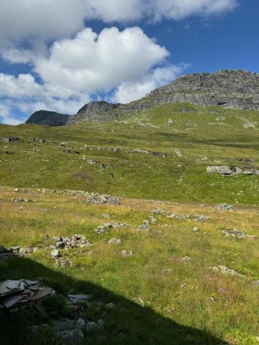 Wild Norwegian nature, between Preikestolen & Trolltunga in Roldal