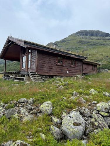 Wild Norwegian nature, between Preikestolen & Trolltunga in Roldal