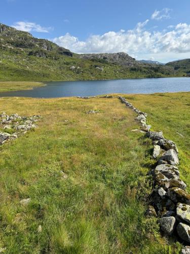 Wild Norwegian nature, between Preikestolen & Trolltunga in Roldal