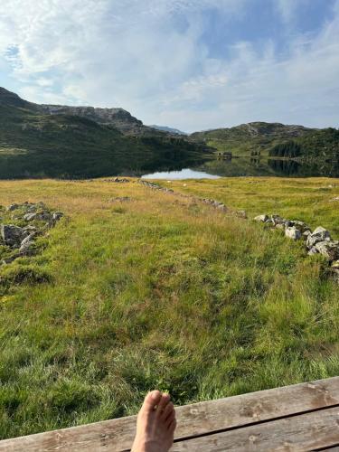 Wild Norwegian nature, between Preikestolen & Trolltunga in Roldal