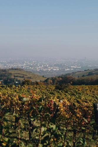 Photo - hideauts hotels Villa R