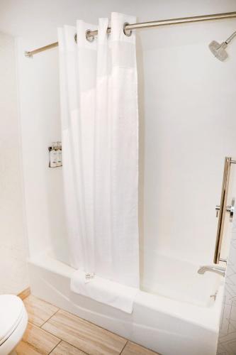 Holiday Inn Express Detroit-Birmingham by IHG in Birmingham, USA