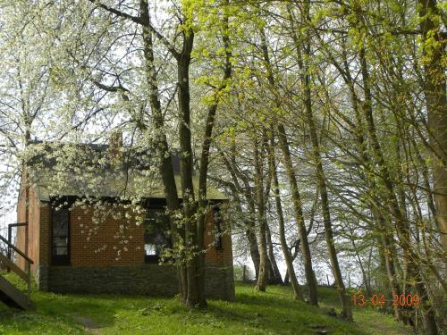 Havane13, Hastière-par-delà (foto 2)