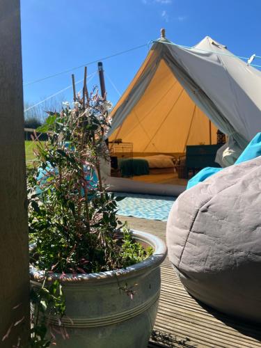 Swallows Oast Glamping in Whatlington