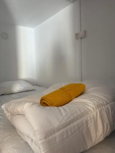 Single Bed in Female Dormitory Room image 10