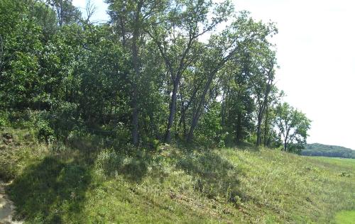 Quiet Country Comfort w Long Views Quiet Country Comfort w Long Views