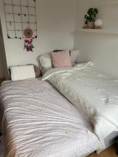 Modern & Cozy Apartment near Tomorrowland- Sleeps 4 in Edegem