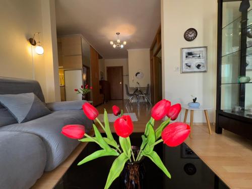 Cozy Selvia Stay, Tirana