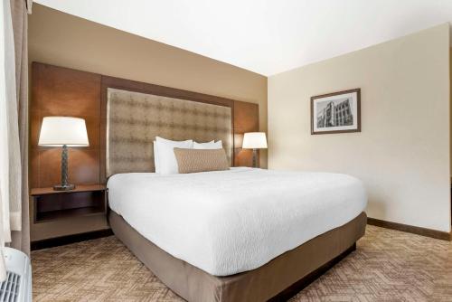 Best Western Gardendale - image 10