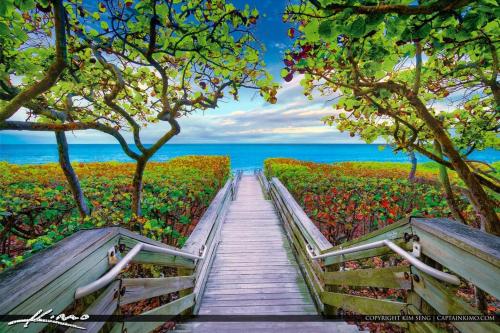 Juno Beach Seaside Escape Steps from the Ocean! in จูโน บีช (FL)