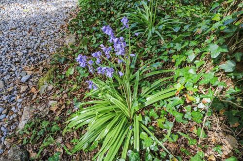 Dun na Ron Oughterard - image 13