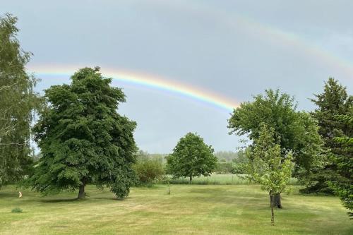 tuin, Ferienwohnung an der Elde in Kreien