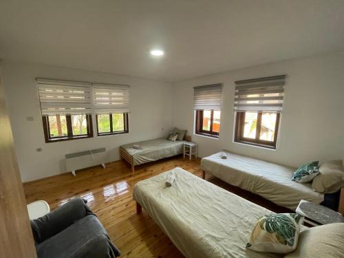 Kuća Mitića (Kuca Mitica) in Pirot