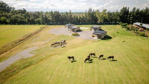 La Joaquina in 로사리오 데 레르마