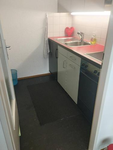 Bright Flat with Workspace near Downton, Basel (photo 9)