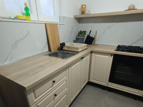 THE LONGING of old Hercegovina, two bedroom apartment in Bosna and Hercegovina, near Dubrovnik in Ivanica