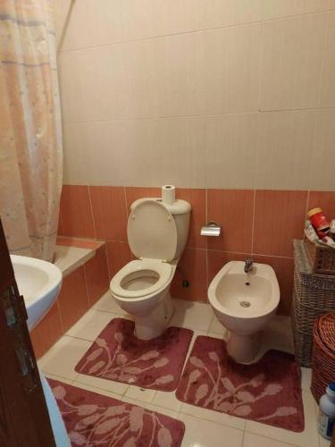 Bonuk House near Queen Alia International Airport