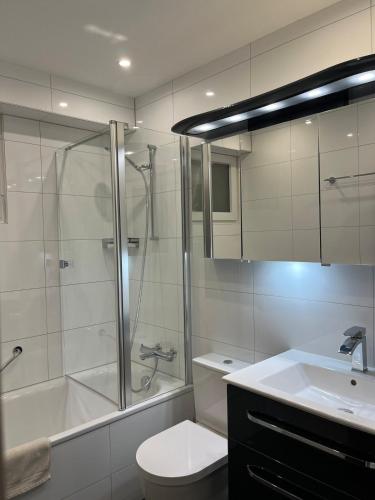Cozy Central Apartment, Basilea (foto 9)