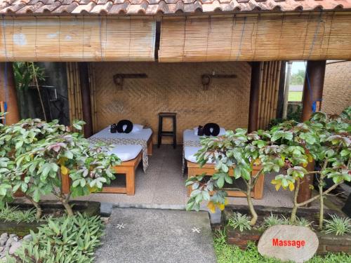West Break Bali - Medewi – Pulukan, WY