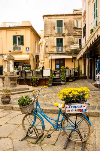 A környék, Radici Tropea in Tropea